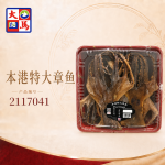 本港特大章鱼300GM±